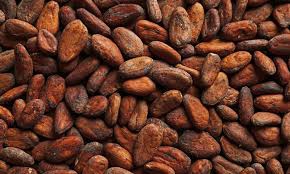 Verwerking van cacaobonen daalt