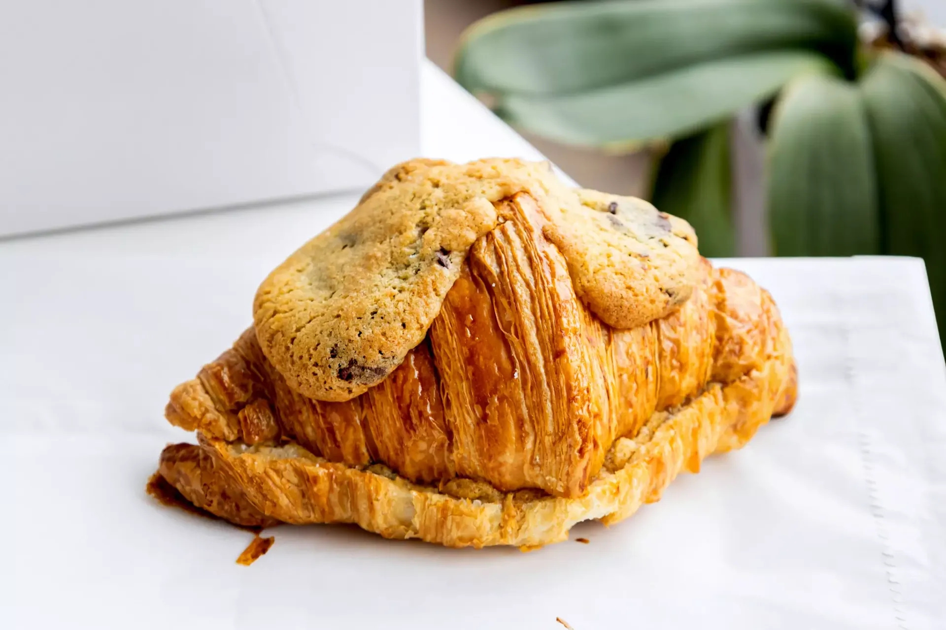 Nieuwe fusiehype: de Crookie