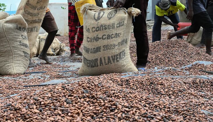 Ghanese boeren verkopen cacao over de grens