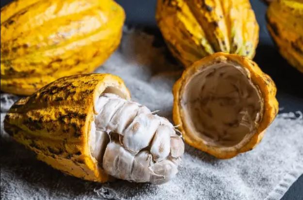 Nestlé benut volledige cacaovrucht
