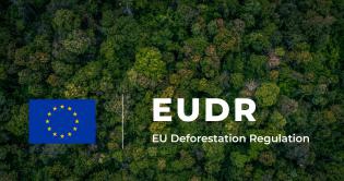 EUDR opnieuw uitgesteld? Europese verdeeldheid groeit