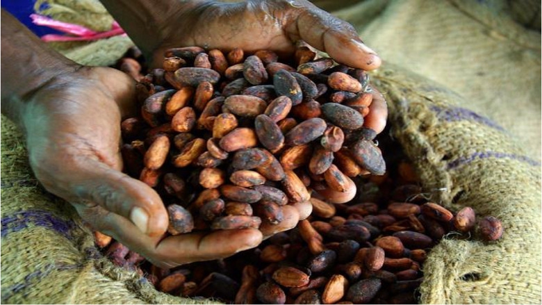 Cacao in kaart