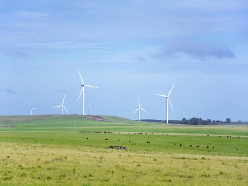 Mars legt beslag op Zweeds windpark voor Europese verduurzaming
