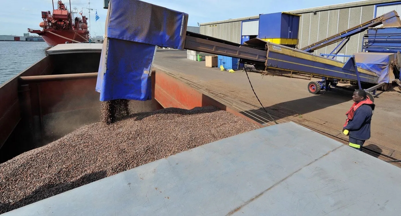 Weer en logistieke problemen verstoren cacaosector in Ivoorkust