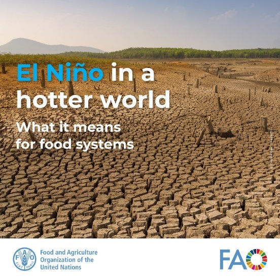 El Nino kan kosten voedingsindustrie opstuwen