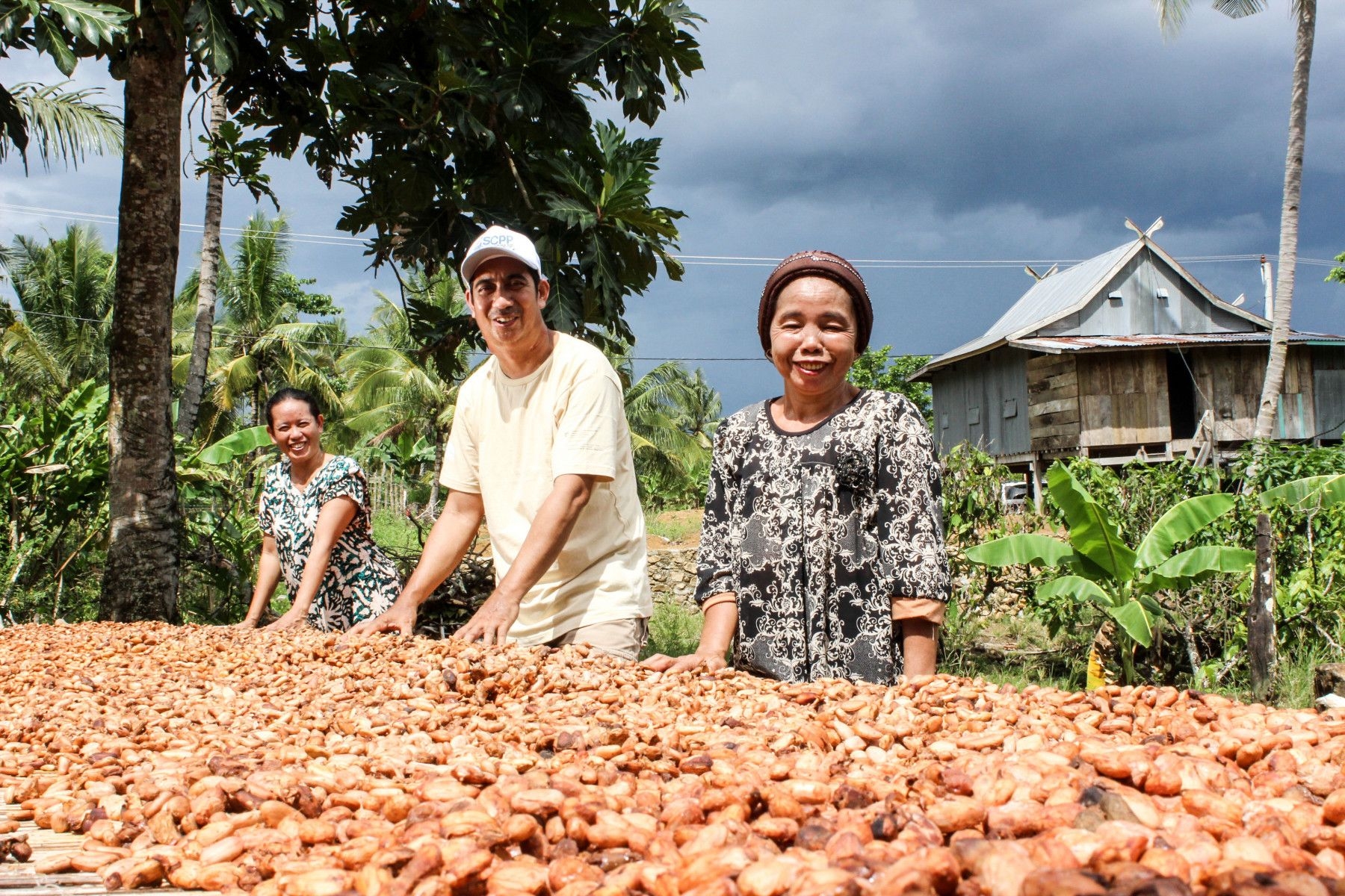 Tekort aan bonen remt Indonesische cacaoverwerking
