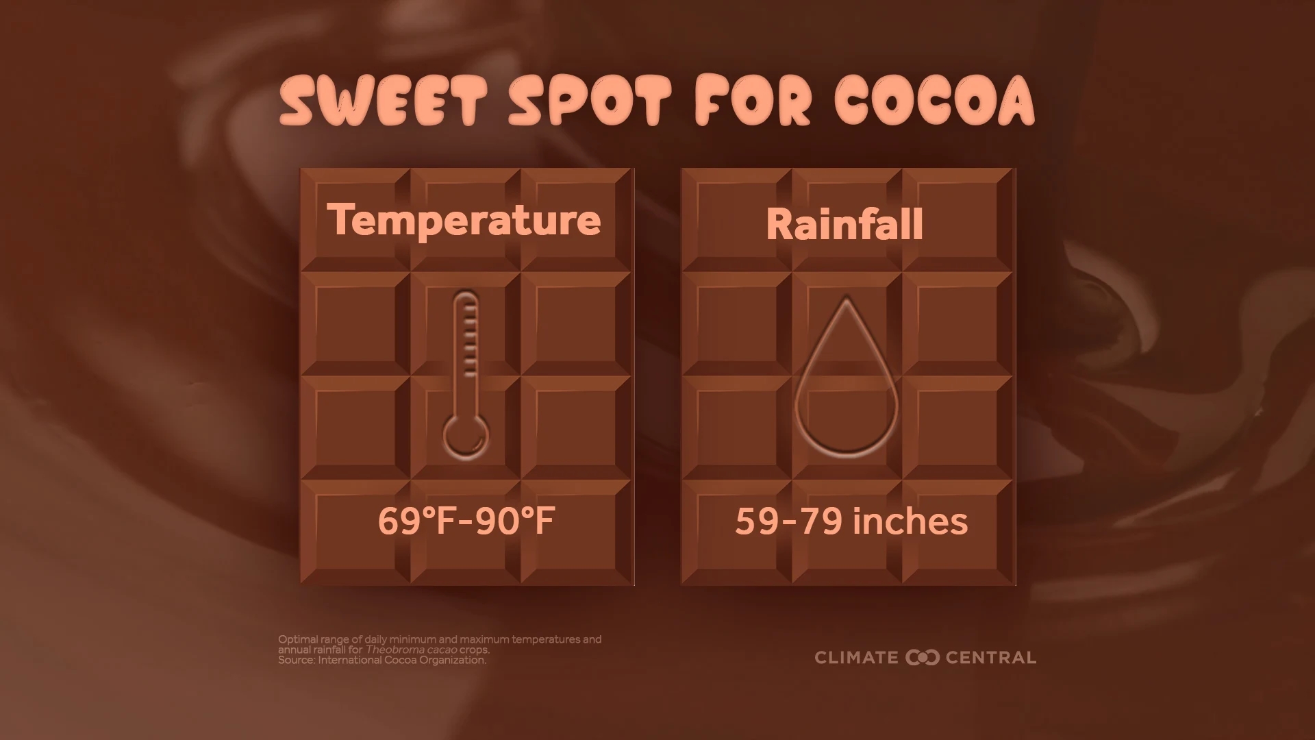 Cacao blijft de kwetsbare schakel in de chocoladeketen