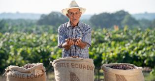 Latijns-Amerika en Azië zijn groeiregio’s voor cacao