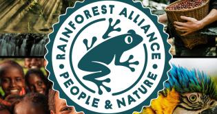 Rainforest Alliance pleit voor koerswijziging in cacaoaanpak