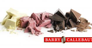 Barry Callebaut onderzoekt celgekweekte cacao als alternatieve grondstof