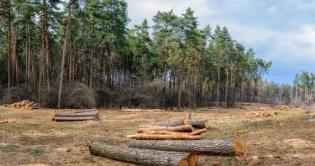  EUDR-richtlijnen geven duidelijkheid over ‘negligible risk’